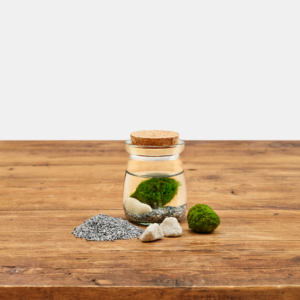 Moss Jars